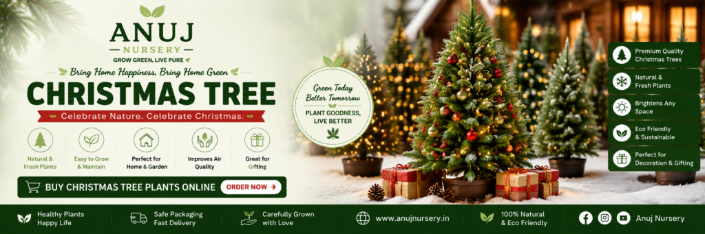 Shop Christmas Tree Online India 