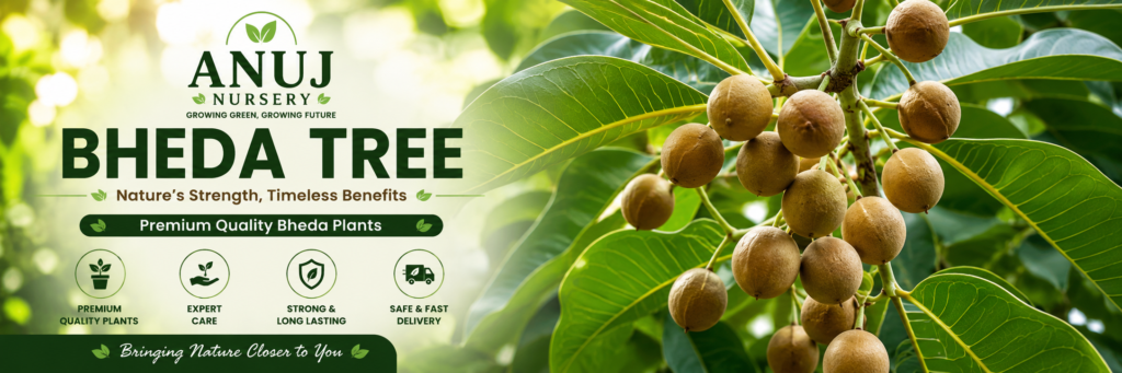 Bheda Tree Care & Benefits