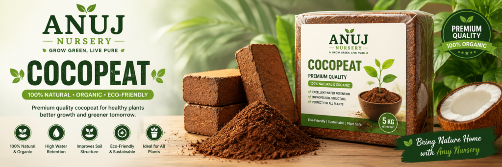 Cocopeat Benefits for Plants