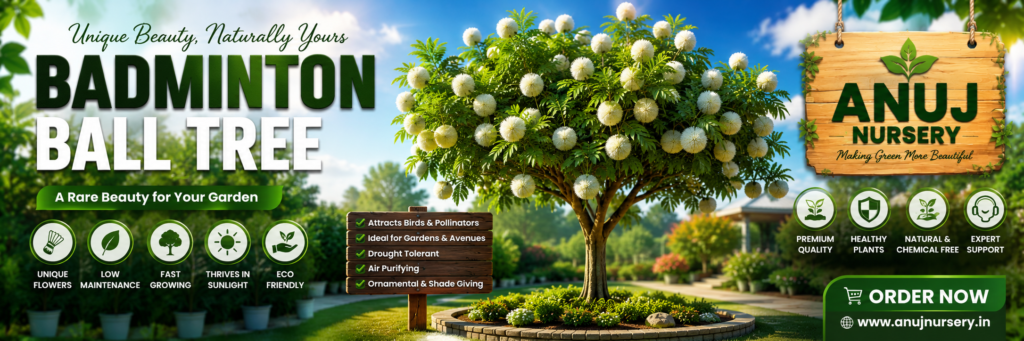Badminton Ball Tree Care & Benefits