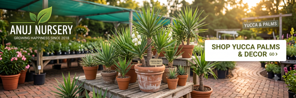 Yucca Palm is the Ultimate Tough Indoor Plant