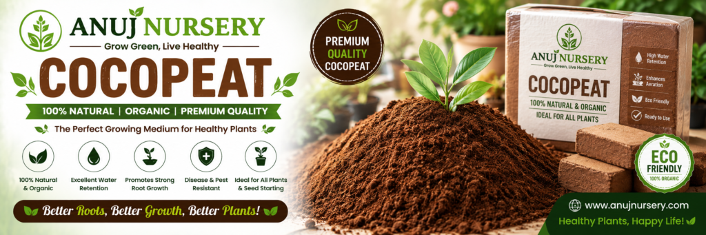 Buy Cocopeat for Plants from Anuj Nursery