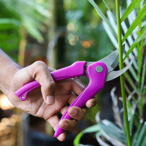 Hand Pruner for Gardening | Garden Pruning Shears & Plant Cutting Tool | Anuj Nursery