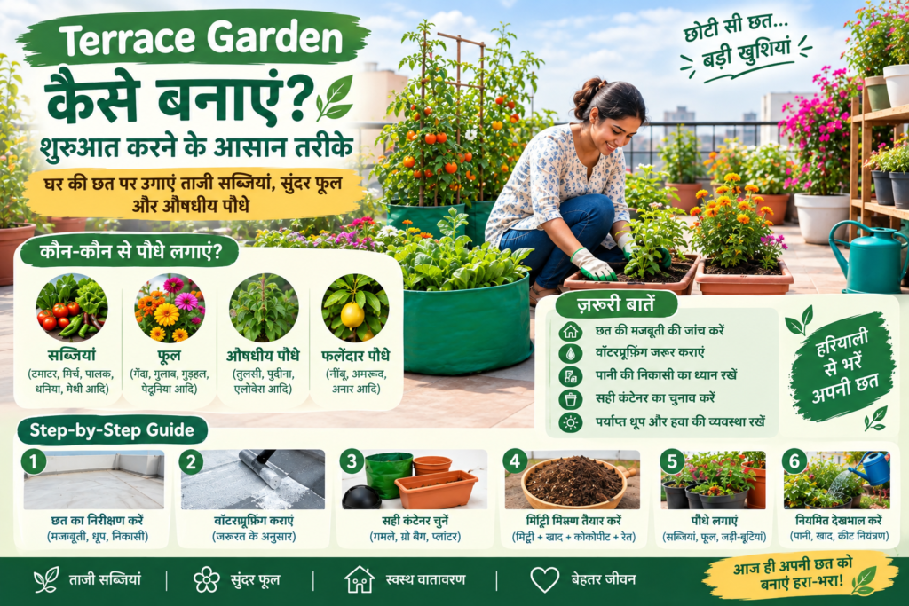 Beautiful terrace garden with healthy green plants in pots
