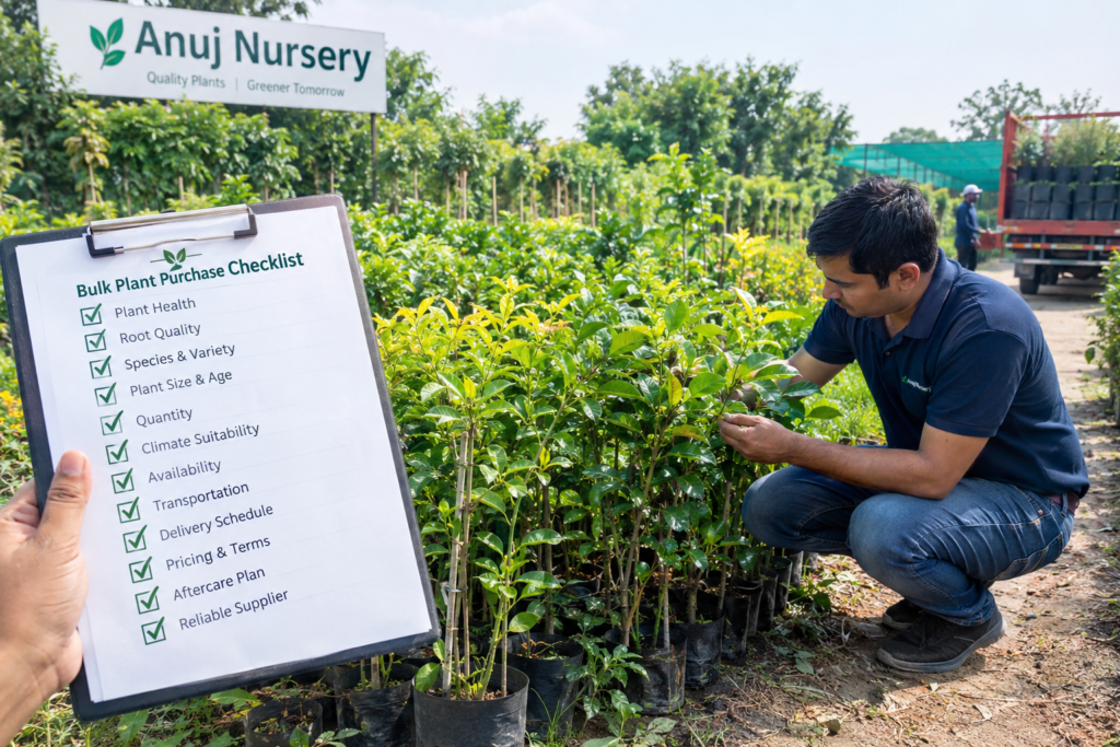 Quality nursery plants ready for bulk purchase