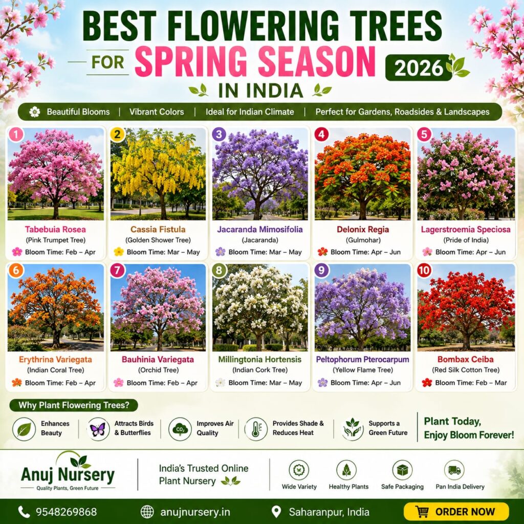 Colorful flowering trees blooming in an Indian spring garden.