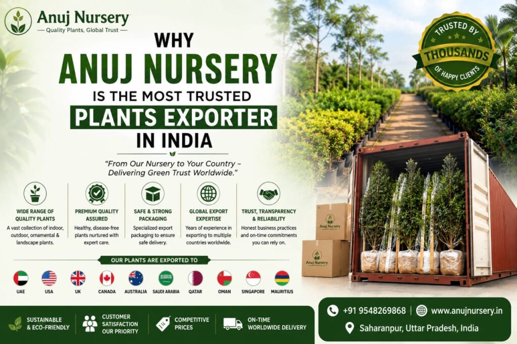 Trusted plant exporter in India – Anuj Nursery.